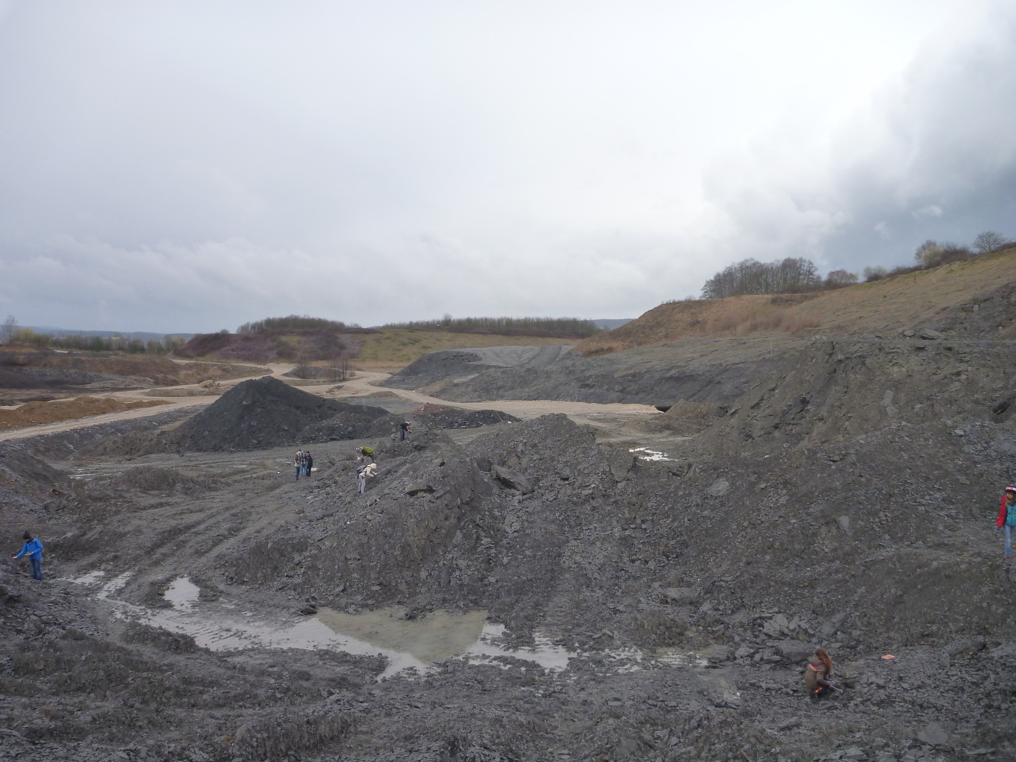 Clayquarry Buttenheim