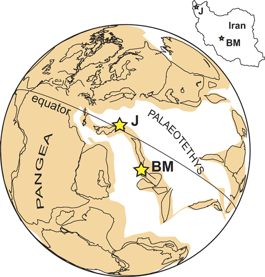 Towards entry "Der Originalartikel “Pre–mass extinction decline of latest Permian ammonoids” von Prof. Wolfgang Kiessling wurde in der Fachzeitschrift „Geology“ publiziert"