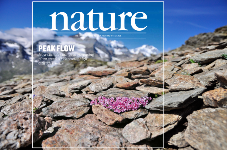 Effects of climate change in alpine systems