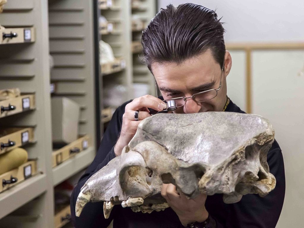 Research I Paleontology