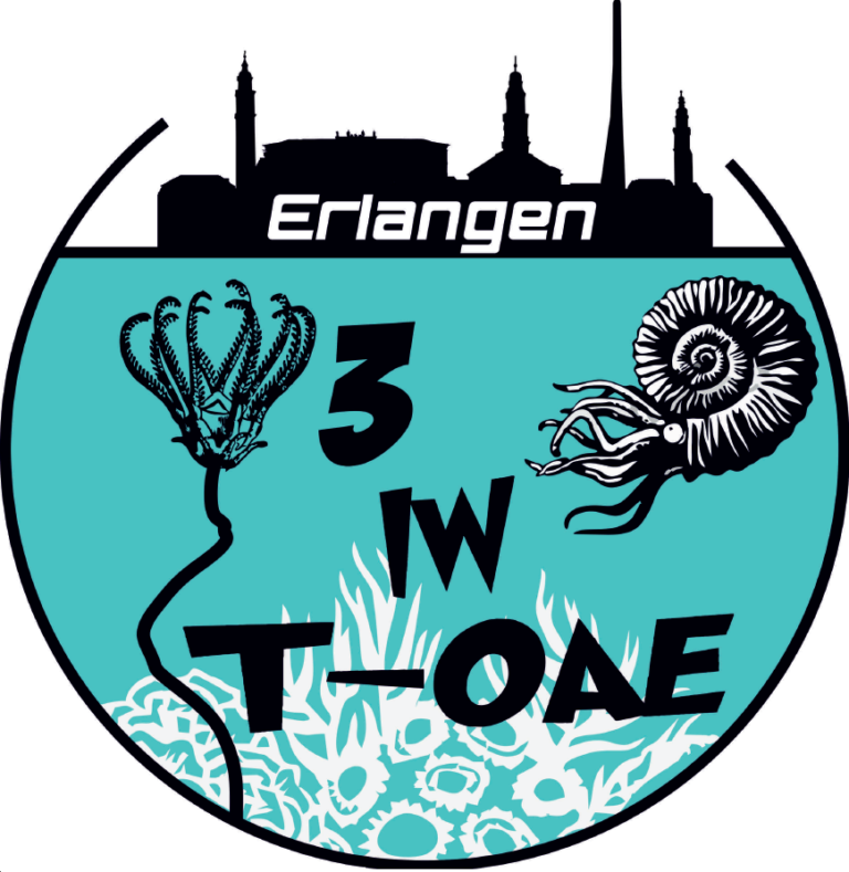 The registration for the 3rd International Workshop on the T-OAE in Erlangen, Sep 2nd – 5th 2019, is now open!