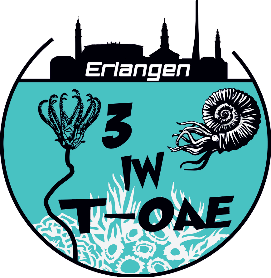 Towards entry "The registration for the 3rd International Workshop on the T-OAE in Erlangen, Sep 2nd – 5th 2019, is now open!"