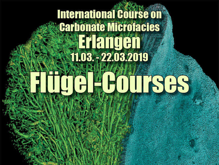 The Carbonate World as guest in Erlangen