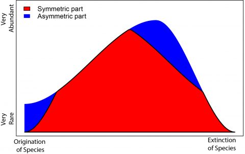 Towards entry "Niklas Hohmann​ – “Enforced symmetry: the necessity of symmetric waxing and waning”,  PeerJ"