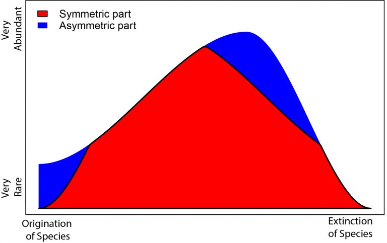 Niklas Hohmann​ – “Enforced symmetry: the necessity of symmetric waxing and waning”,  PeerJ
