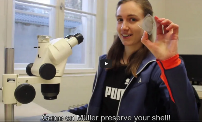 PalaeoFAU’s Ammonite video won 2nd place in the Palaeovision Fossil Contest!!!!