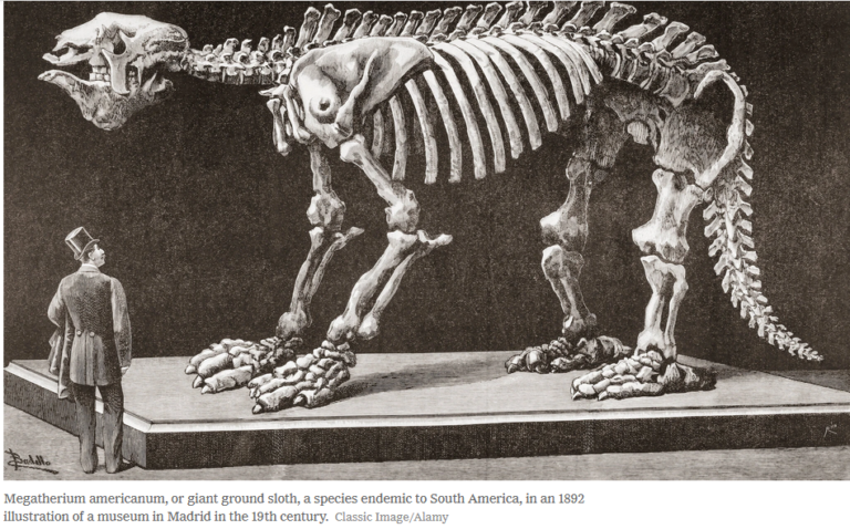 The New York Times: “Decolonizing the Hunt for Dinosaurs and Other Fossils” – Nussaibah Raja Schoob, GZN