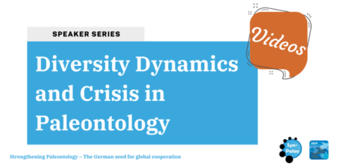 Towards entry "Speaker series “Diversity Dynamics and Crisis in Paleontology”"