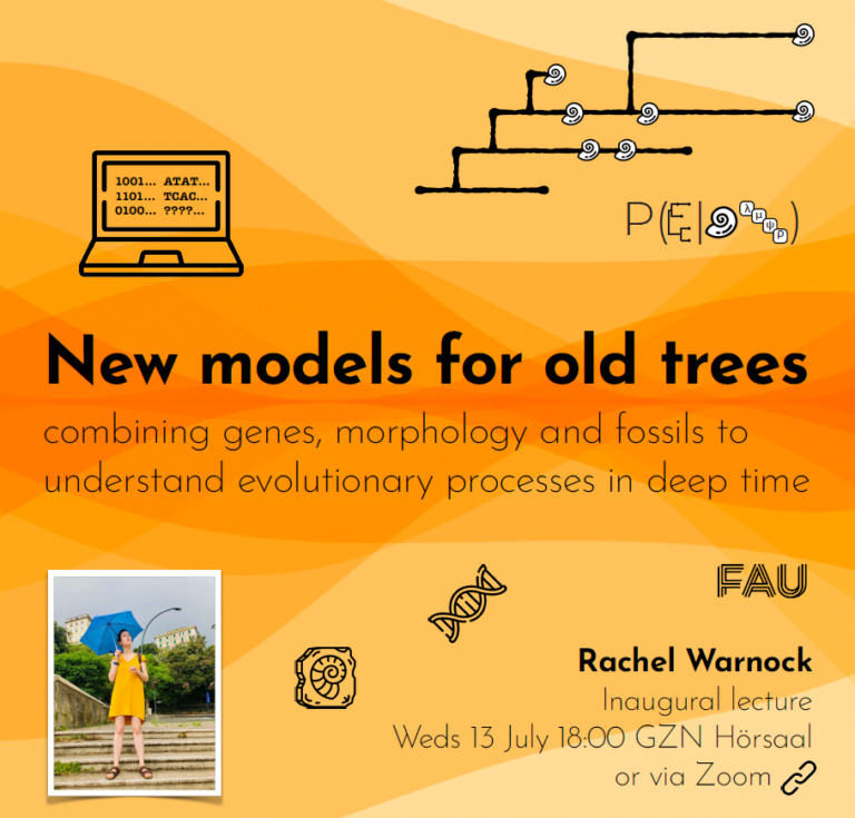 Inaugural lecture by Prof. Rachel Warnock in the Geoscience Colloquium, Wednesday July 13th at 18:00 CET in person at the GZN (room Hörsaal)