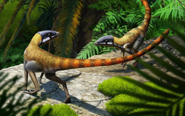 230-million-year-old fossil sheds light on the origins of pterosaurs