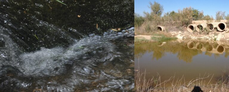 Connection between groundwater and biodiversity protection