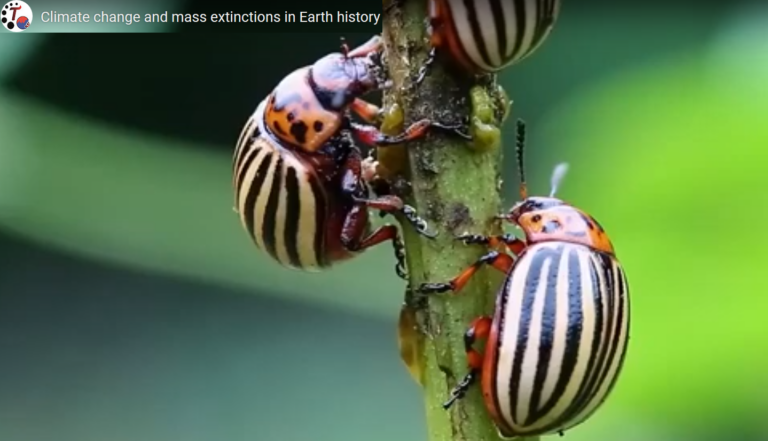 Can nature adapt to climate change? – 7th Mai 2024, 19-21 h