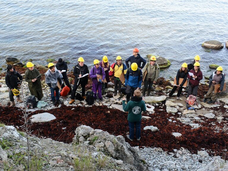 Field trip to Gotland: Tropical rocks and fossils from the Silurian period