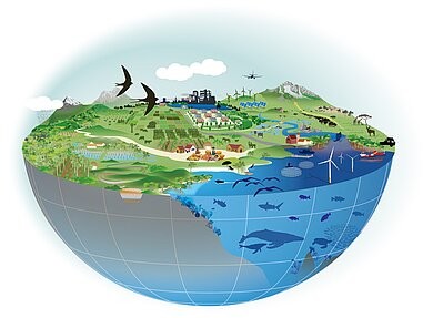 Symbolic picture for the article. The link opens the image in a large view.