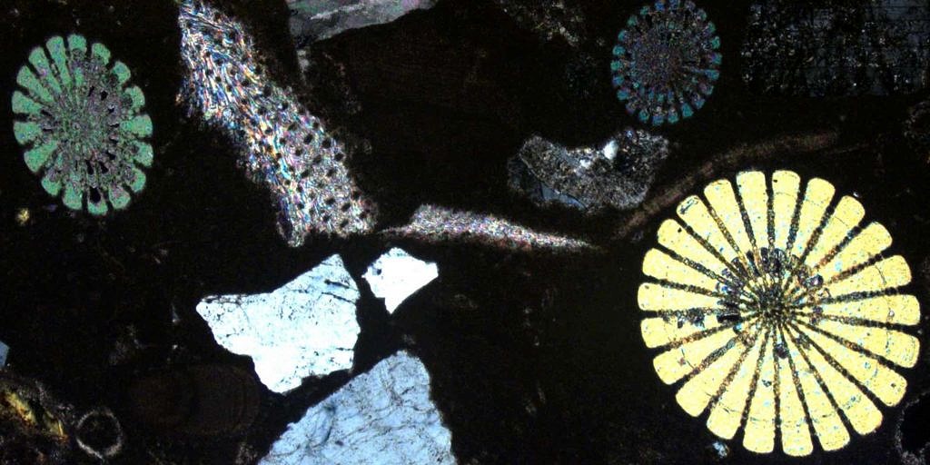 Carbonate Sedimentology & Facies Analysis