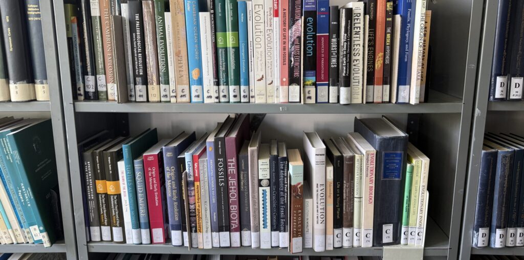books in shelf