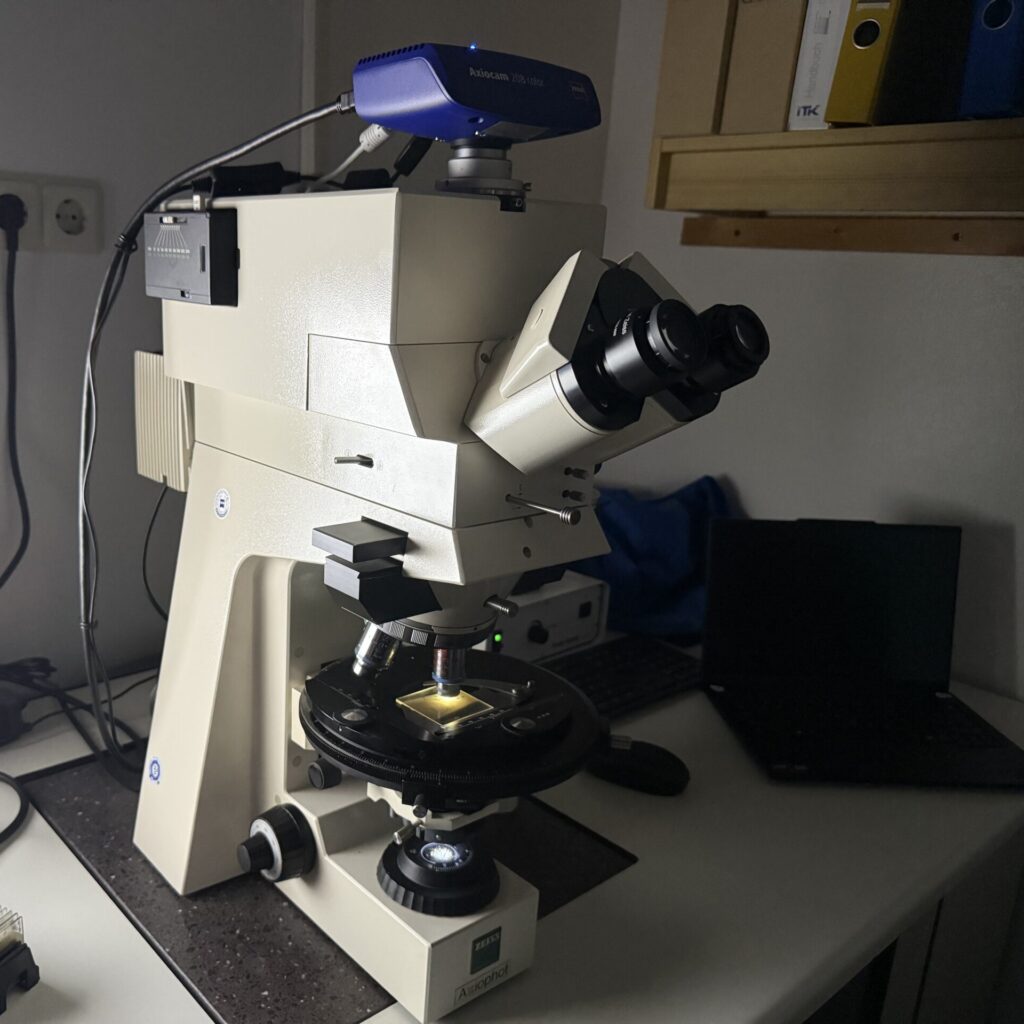 fluorescence microscope