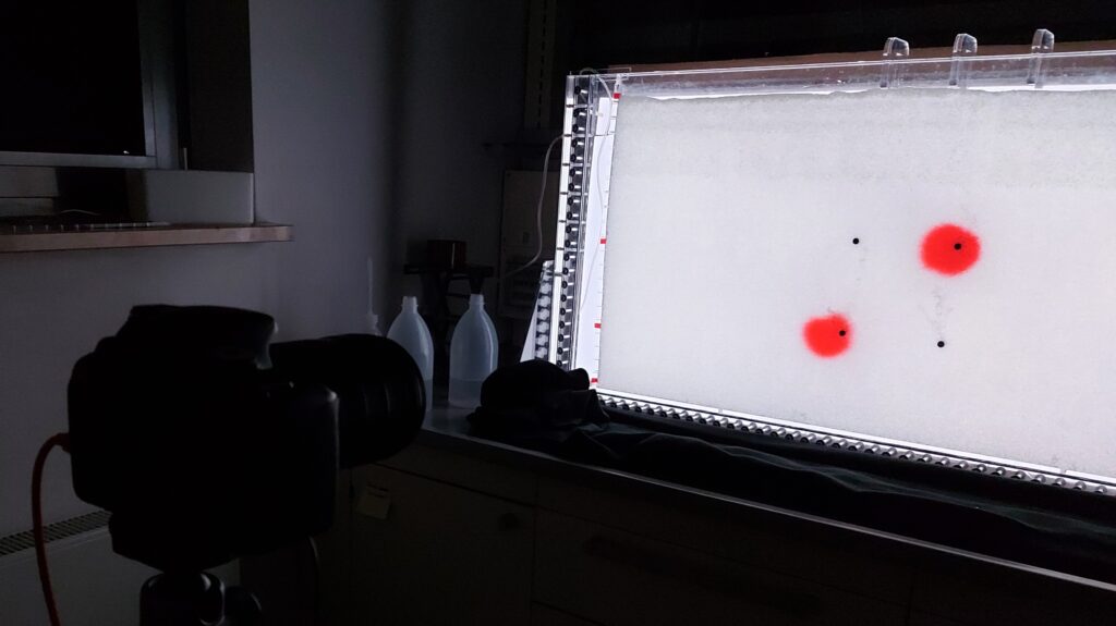 AGMES laboratory Images