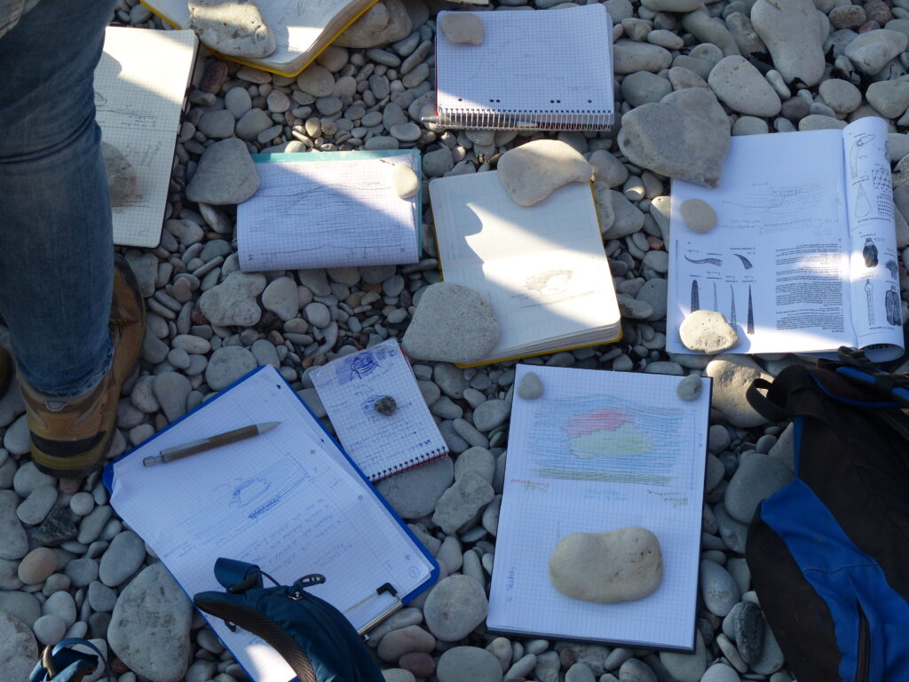 Projects I Paleontology