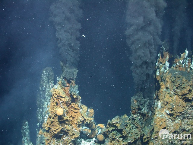 Hydrothermal vent (black smoker)