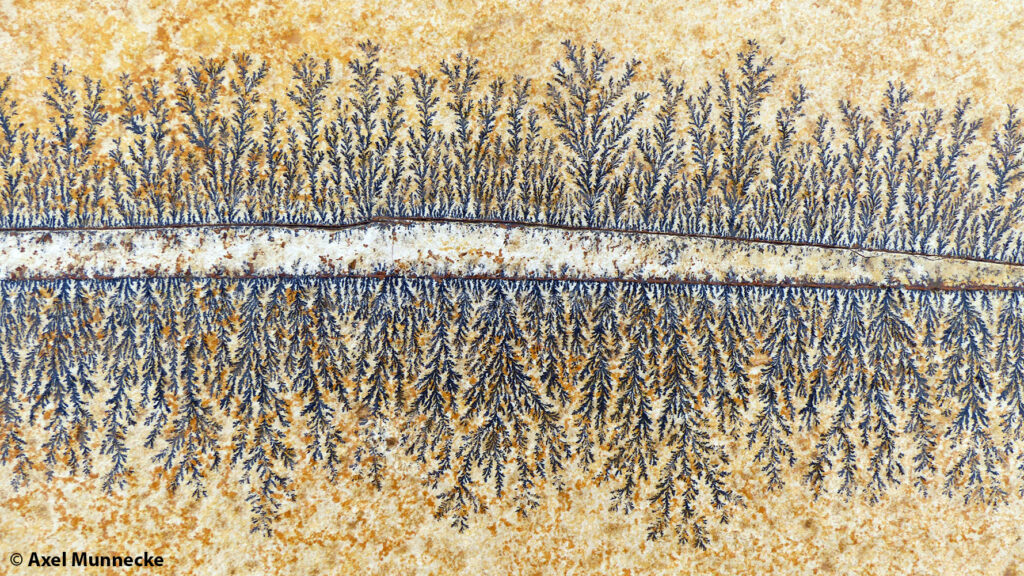 Becoming a student assistant I Paleontology