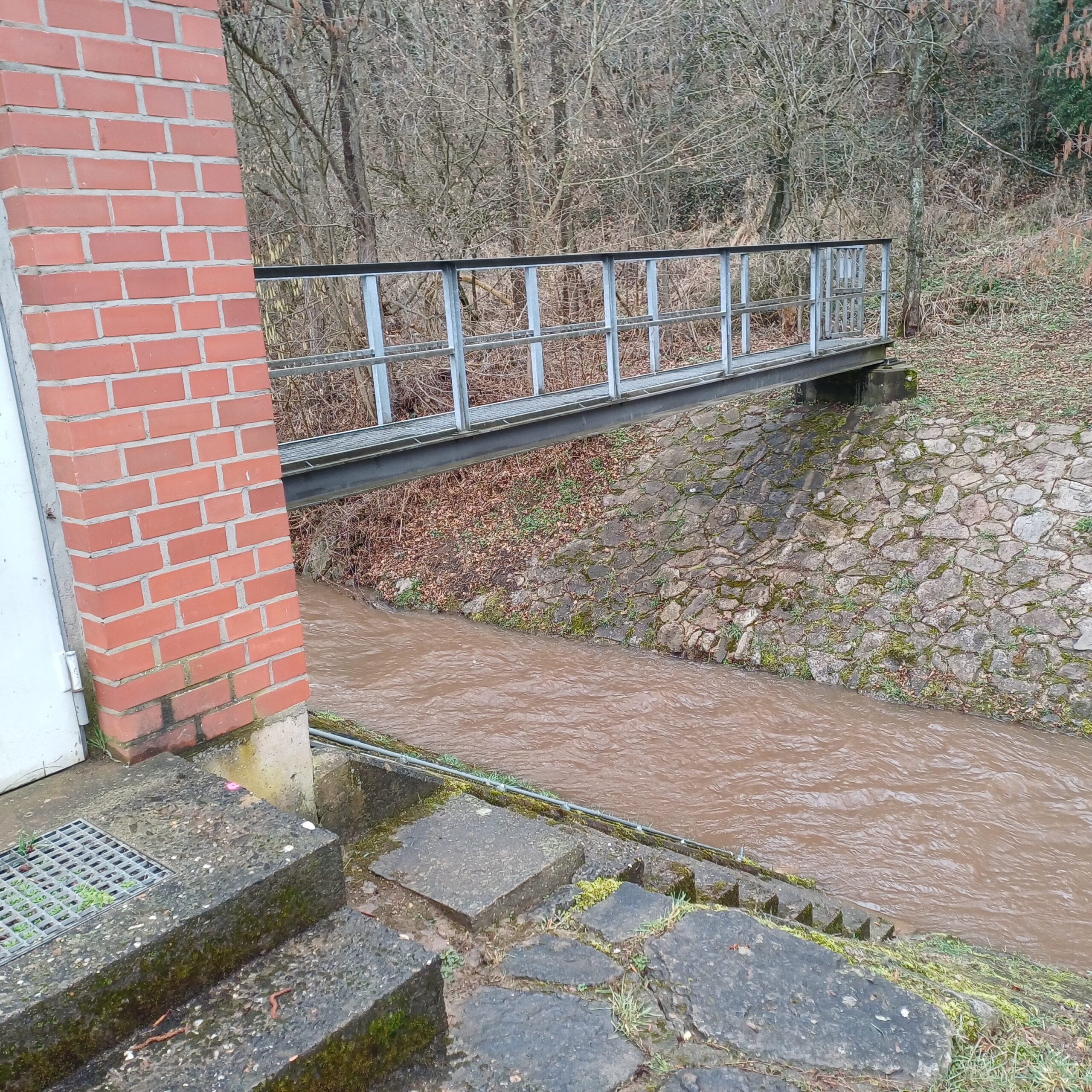 AGMES rivercadt project picture