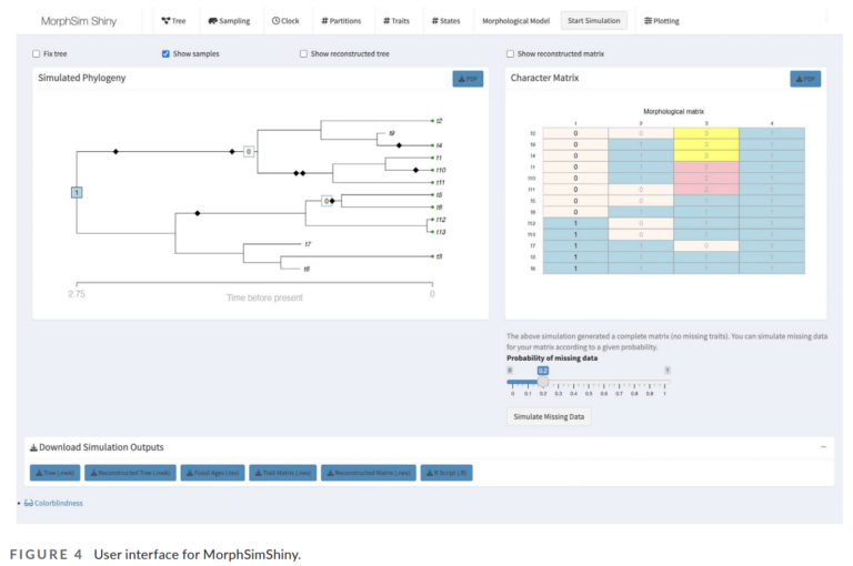 MorphSim: An R package for simulating discrete morphological data