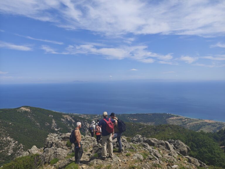 News from Endogenous Geodynamics: Fieldwork on the Greek Island of Samothraki