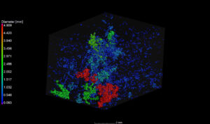 Darstellung des Porenraums in einem Sandstein