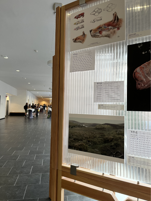 Flur im Paleo4Alps, Universität Bozen, Kunstausstellung: Stände mit Zeichnungen und Bildern (Bild: Roberta Branz)